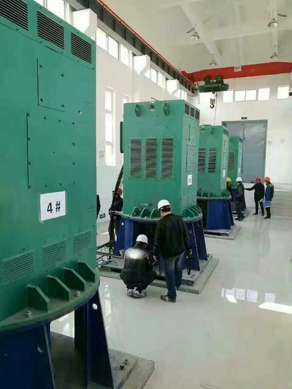 YJTFKK5003-4某污水处理厂使用我厂的立式高压电机安装现场