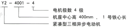 YR系列(H355-1000)高压YJTFKK5003-4三相异步电机西安西玛电机型号说明